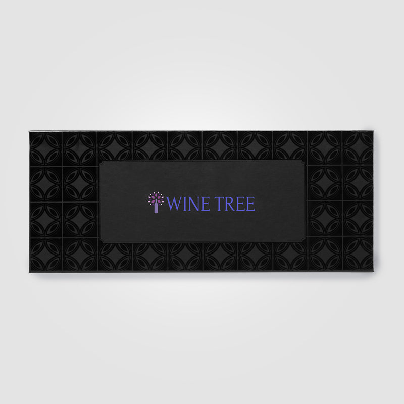 Neve Recycled Stainless Steel Wine Chiller Set & Gift Box - 2 pcs -ColorJet-zoom-