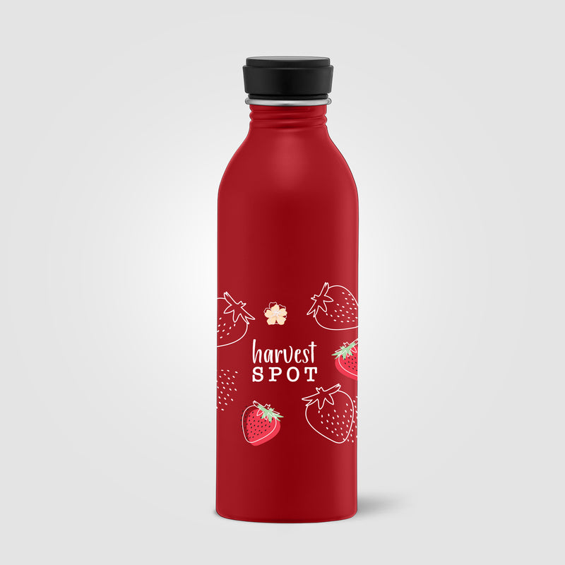 Rio Grande - 18 oz. Single Wall Aluminum Water Bottle - ColorJet-zoom-