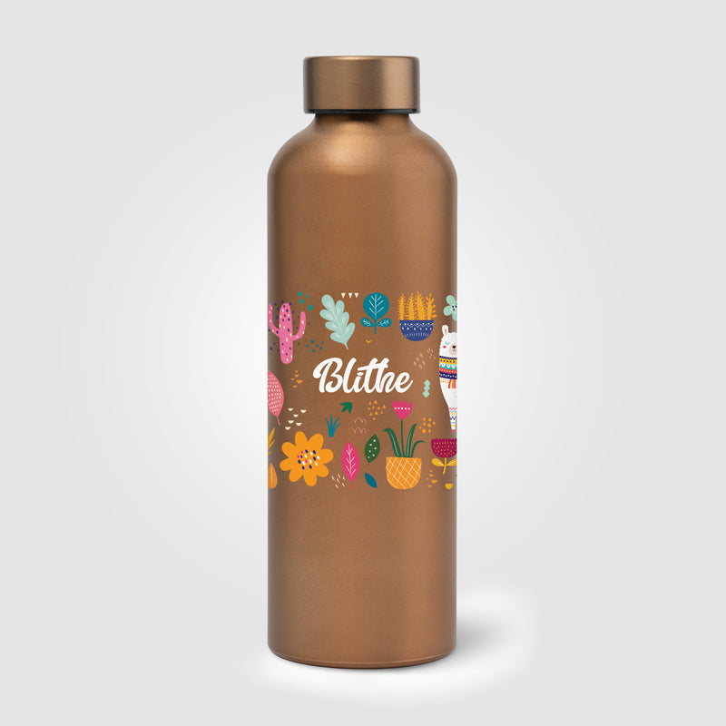 Astrid Recycled Aluminum Cooper Bottle - 24 oz. - ColorJet-zoom-