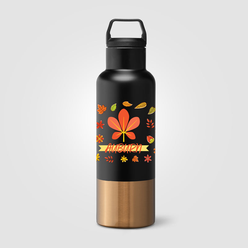 Auric Recycled Stainless Steel Vacuum Insulated Bottle - 22.5 oz. - ColorJet-zoom-